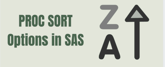Proc Sort Options in SAS