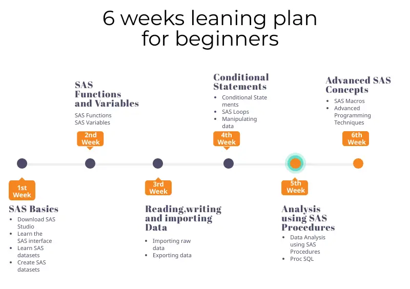SAS learning Plan