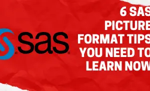 SAS Picture format