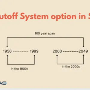 Yearcutoff System Option