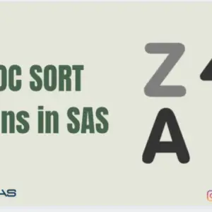 Proc Sort Options in SAS