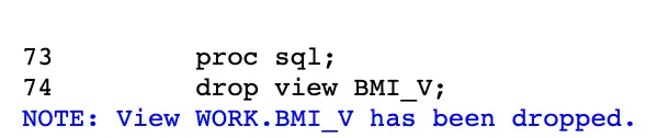 SAS Data Views: What They Are & How They Work