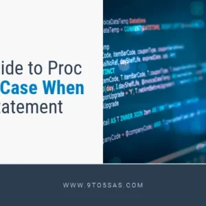 A guide to Proc SQL Case When Statement